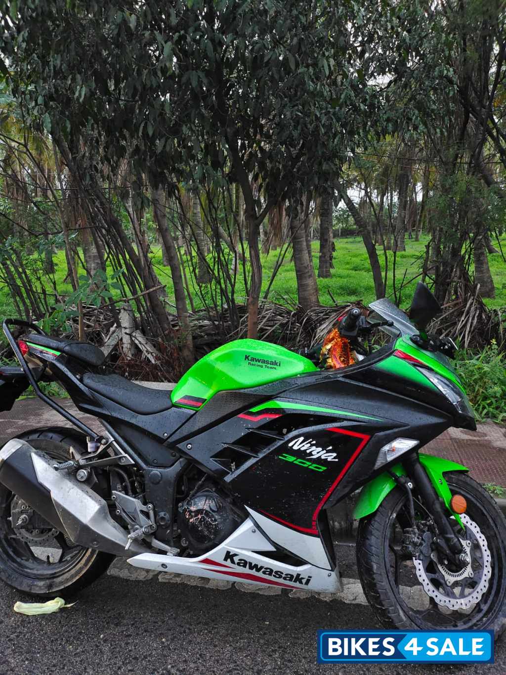 Krt Green Kawasaki Ninja 300 BS6 2022