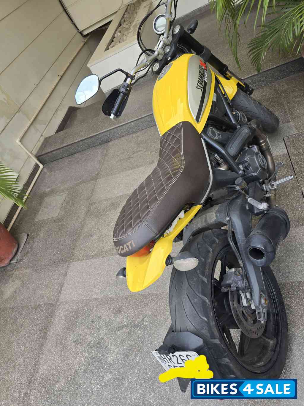 Ducati Scrambler Icon