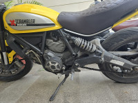 Ducati Scrambler Icon