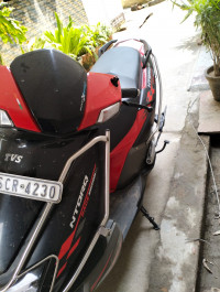 TVS NTORQ 125 Race Edition 2024 Model