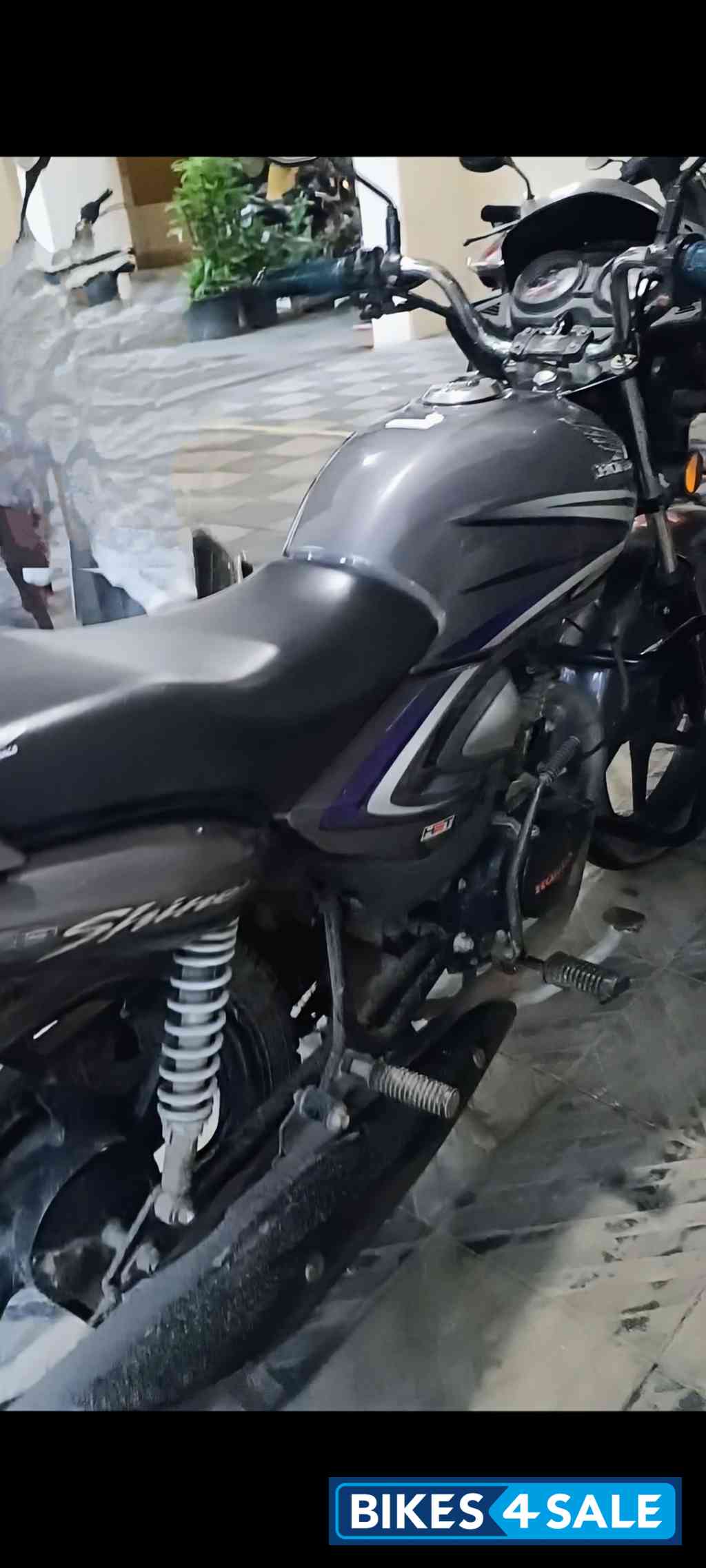 Honda Shine 125 Drum