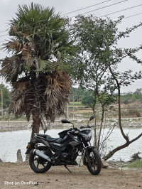 Wicked Black TVS Raider SX