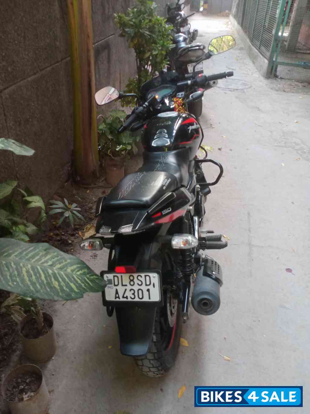 Bajaj Pulsar 150 Twin Disc BS6 Bajaj Pulsar 150 Twin Disc BS6