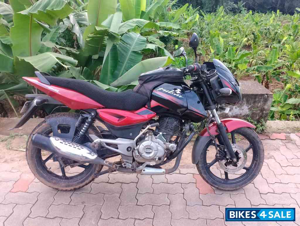 Cocktail Wine Red Bajaj Pulsar 150