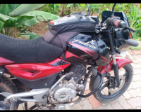 Cocktail Wine Red Bajaj Pulsar 150