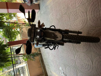 Matt Green Hero XPulse 200