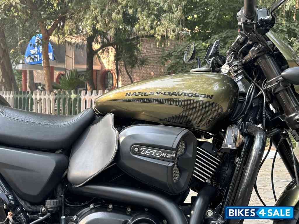 Olive Gold Harley Davidson Street Rod