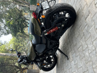 Olive Gold Harley Davidson Street Rod