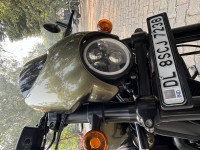 Olive Gold Harley Davidson Street Rod