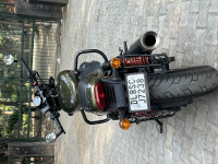 Olive Gold Harley Davidson Street Rod