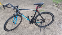 Bicycle Trinx Clim 2.0 2024 Model