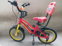 Bicycle  Vector 91 Justice League