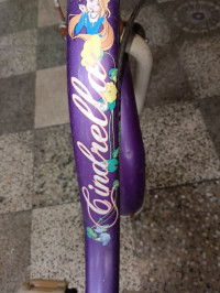 BSA  Champ cindrella