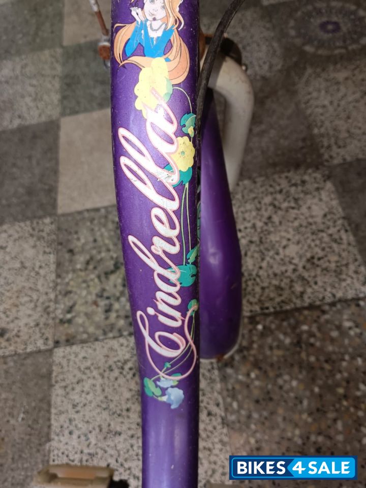 BSA  Champ cindrella