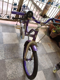 BSA  Champ cindrella