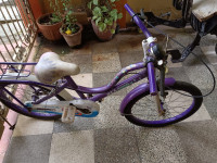 BSA  Champ cindrella