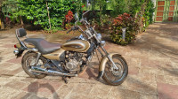 Golden Beige Metallic Bajaj Avenger Cruise 220