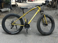 Bicycle Wake f450 2021 Model