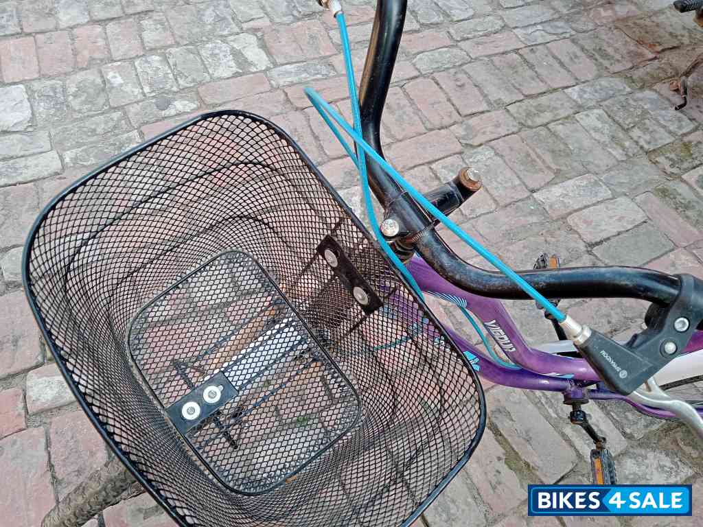 Purple Vigor Purple Vigor