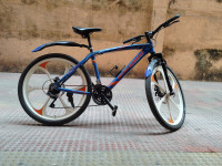 Light Blue Bicycle Hero