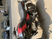 Red And Black Bajaj V15