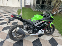 Candy Green Kawasaki Ninja 300 BS6 2023