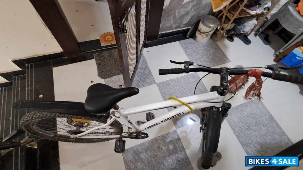 White Bicycle  Urban Terrain