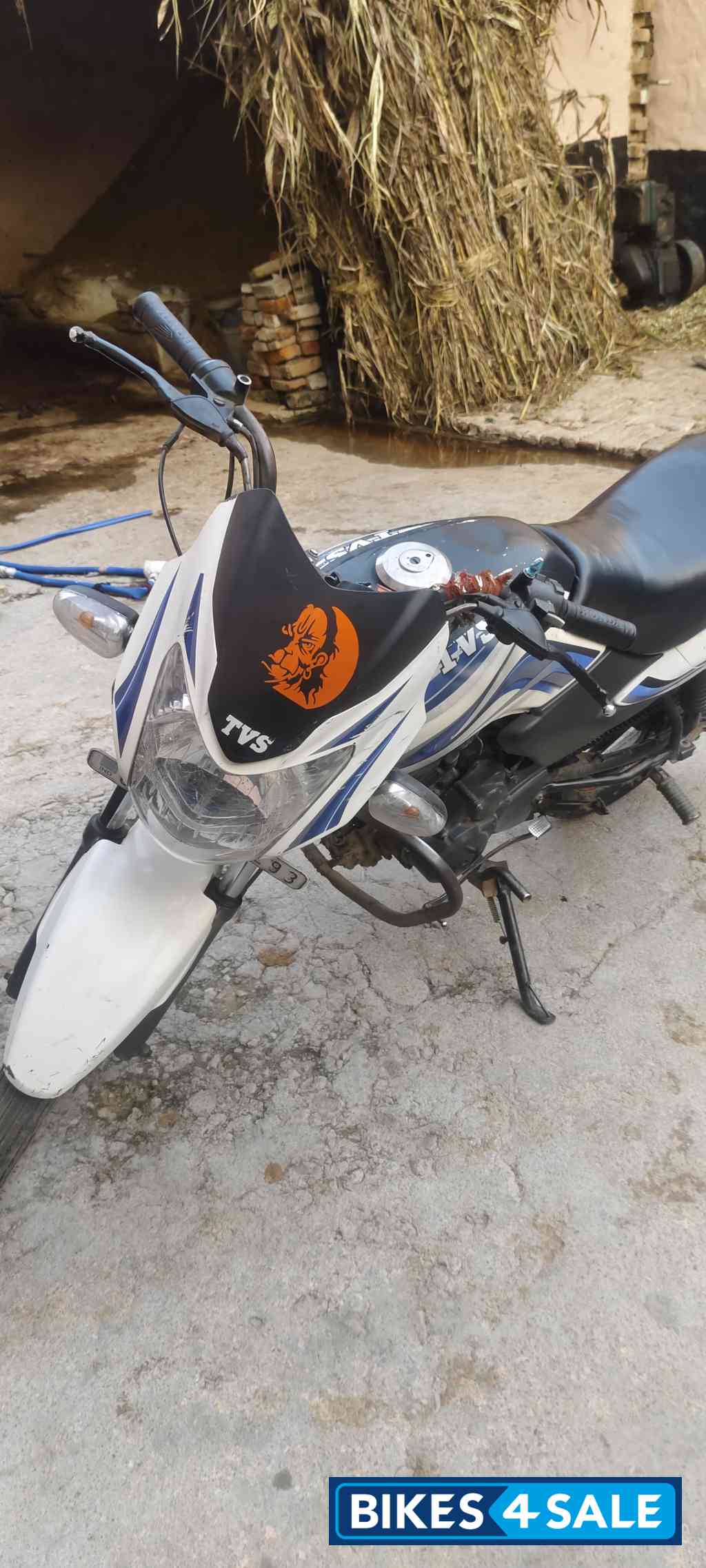 White TVS Sport White TVS Sport