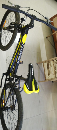 Matt Black Bicycle Keysto