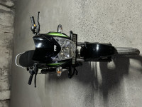 Black Green TVS Sport BS6
