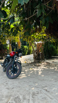 Red Black Royal Enfield Thunderbird X 350