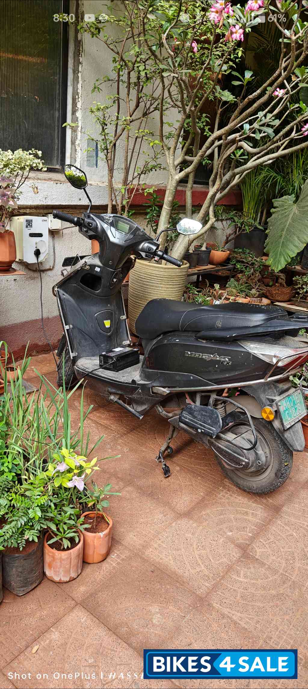 Graphite Black Ampere Magnus Ex