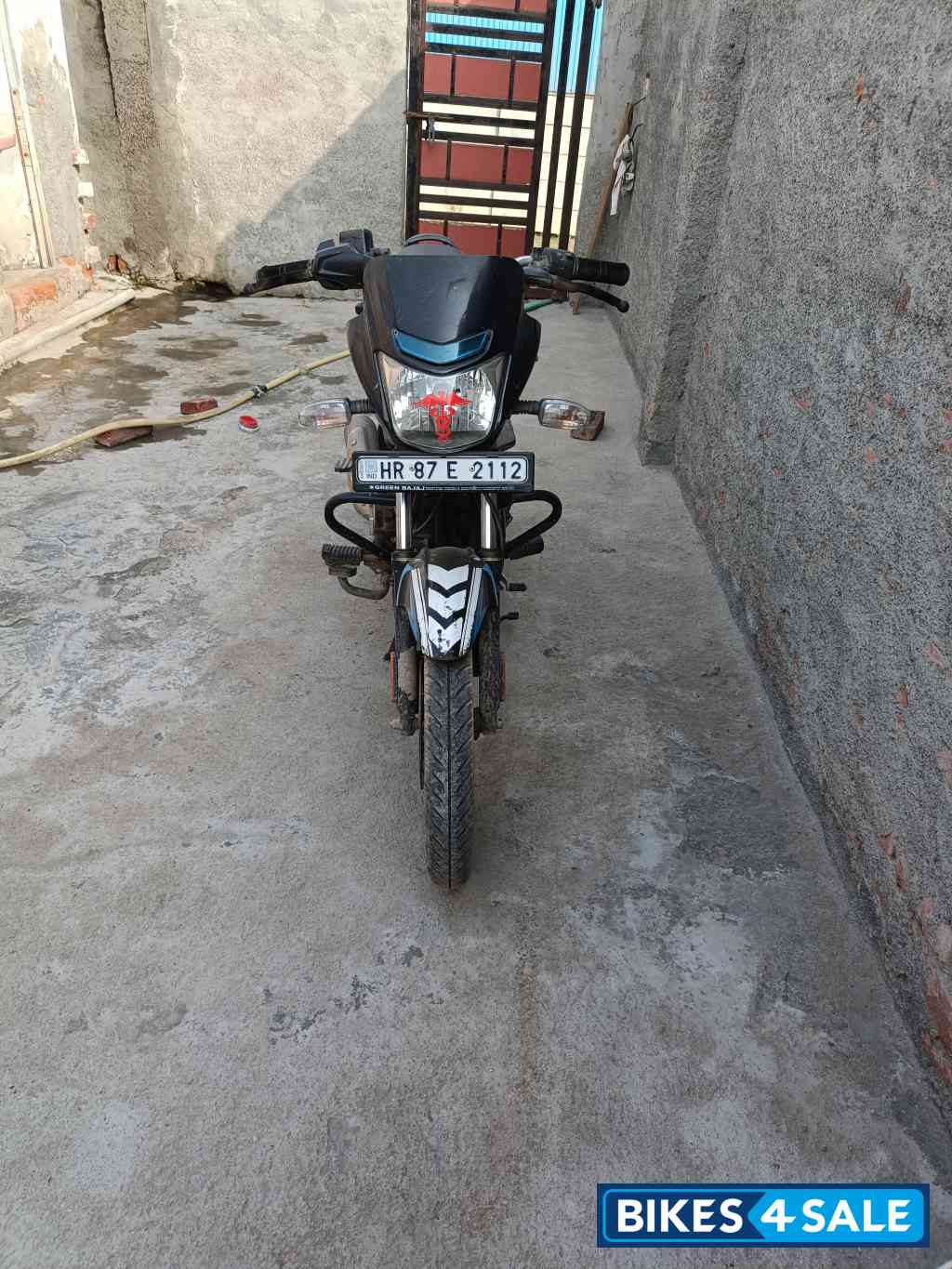 Ebony Blk Blue Dkl Bajaj Platina 110 H-Gear