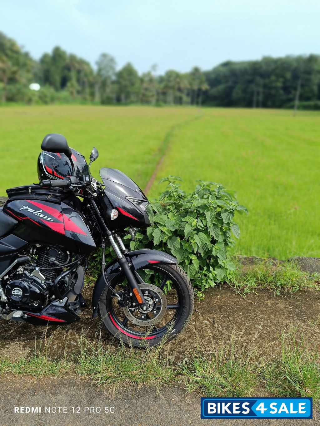 Sparkle Black Red Bajaj Pulsar P150 Single Disc Single Seat