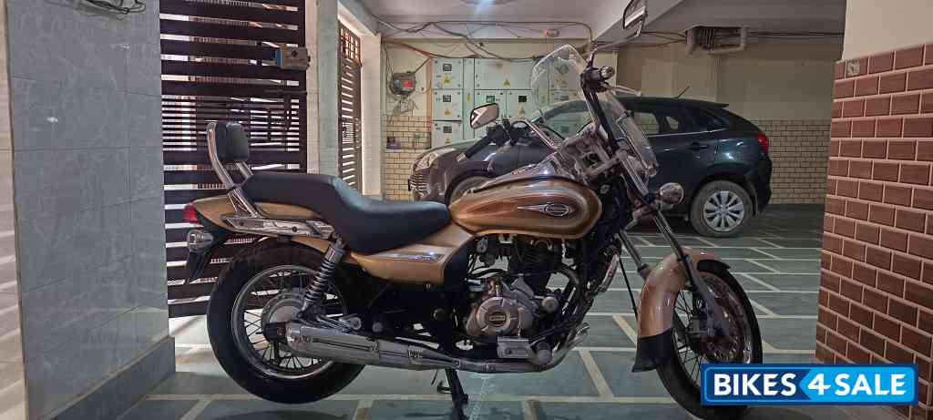 Golden Bajaj Avenger Cruise 220
