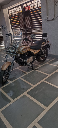 Golden Bajaj Avenger Cruise 220