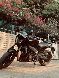 Maroon Colore Bajaj Dominar 400