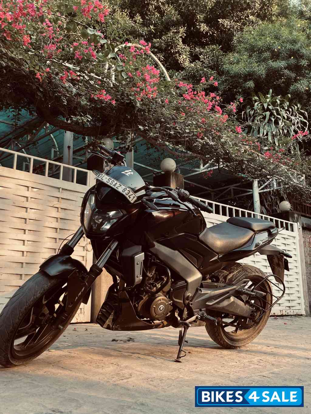 Maroon Colore Bajaj Dominar 400