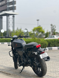 Harley Davidson X 440