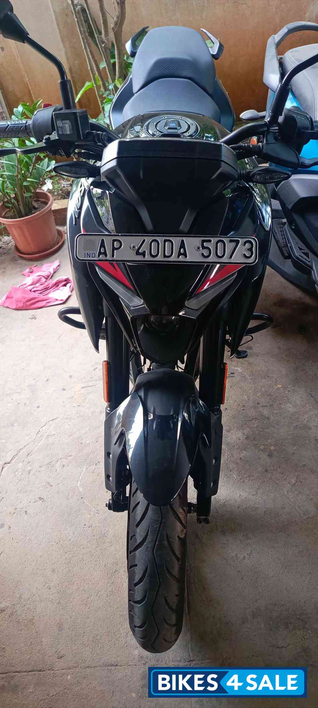 Black Bajaj Pulsar N250 2024