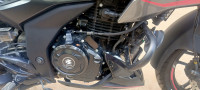 Black Bajaj Pulsar N250 2024