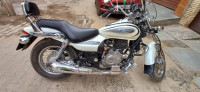 Moon White Bajaj Avenger Street 220 BS6