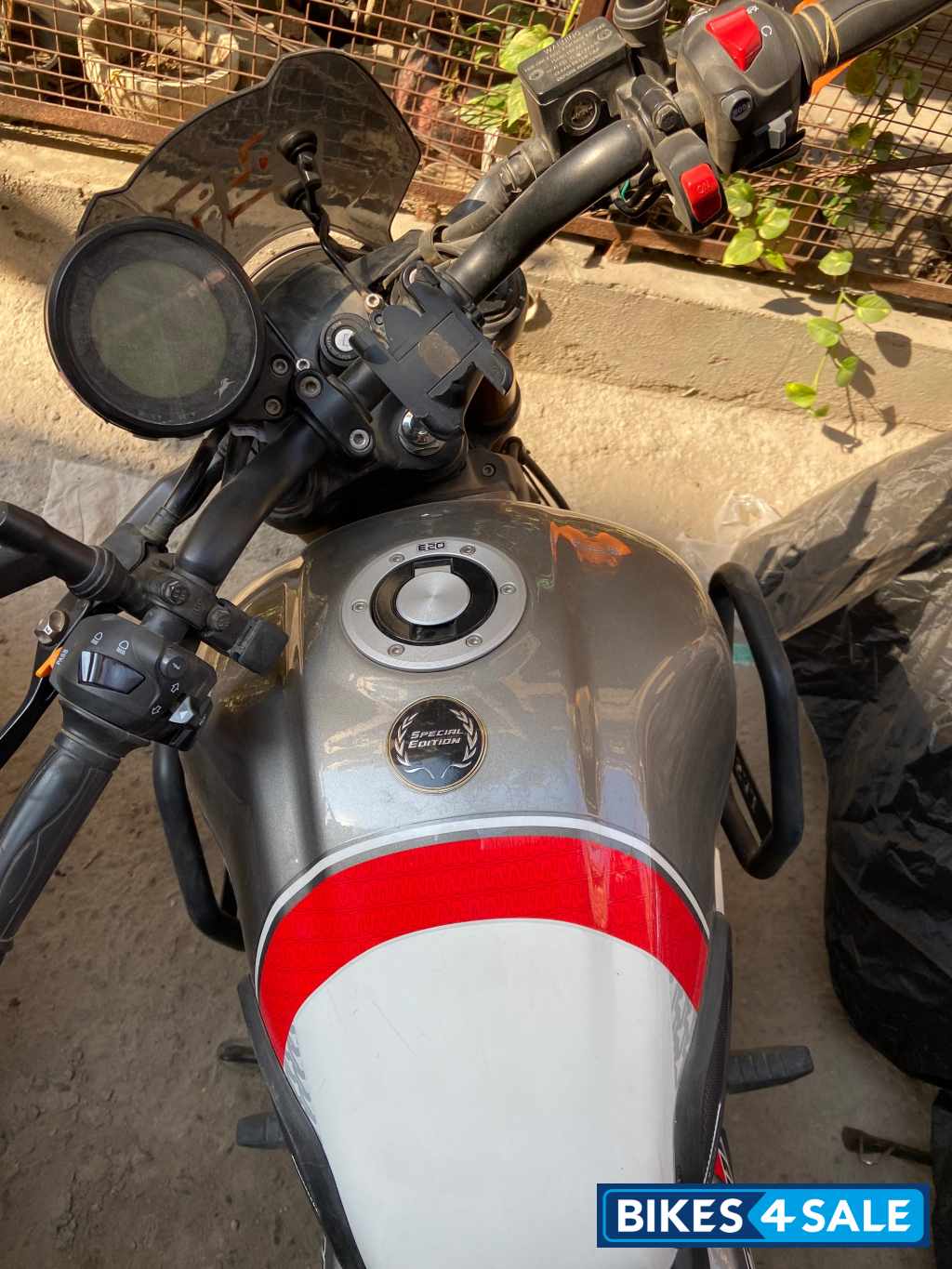 Special Edition White TVS Ronin TD Special Edition