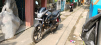Mate Black(gray) Honda SP 125 BSVI