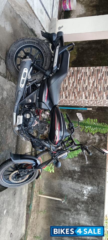 Mat Black Metallic Bajaj Avenger Street 220