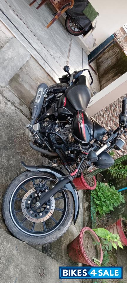 Mat Black Metallic Bajaj Avenger Street 220