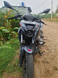 Glossy Techno Black Bajaj Pulsar N250