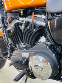 Harley Davidson Iron 883