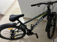 Bicycle Raleigh