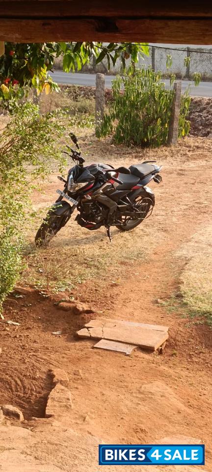 Glossy Ebony Black Bajaj Pulsar NS200